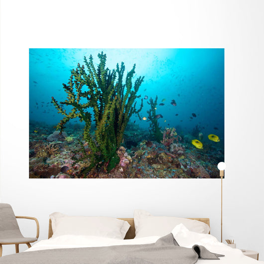 Black Sun Coral Limasawa Wall Decal Design 3