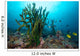 Black Sun Coral Limasawa Wall Decal Design 3