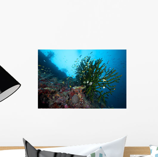 Black Sun Coral Napantao Wall Decal Design 2