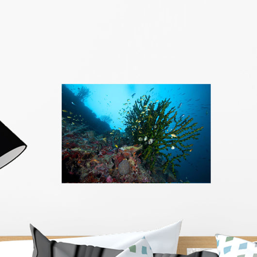 Black Sun Coral Napantao Wall Decal Design 2