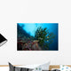 Black Sun Coral Napantao Wall Decal Design 2