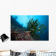 Black Sun Coral Napantao Wall Decal Design 2