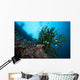 Black Sun Coral Napantao Wall Decal Design 2