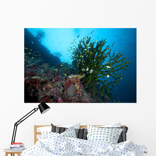 Black Sun Coral Napantao Wall Decal Design 2