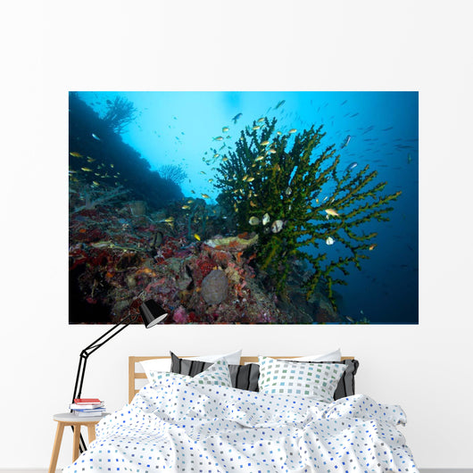 Black Sun Coral Napantao Wall Decal Design 2