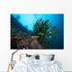Black Sun Coral Napantao Wall Decal Design 2