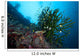 Black Sun Coral Napantao Wall Decal Design 2