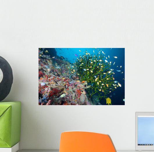 Black Sun Coral Napantao Wall Decal Design 1