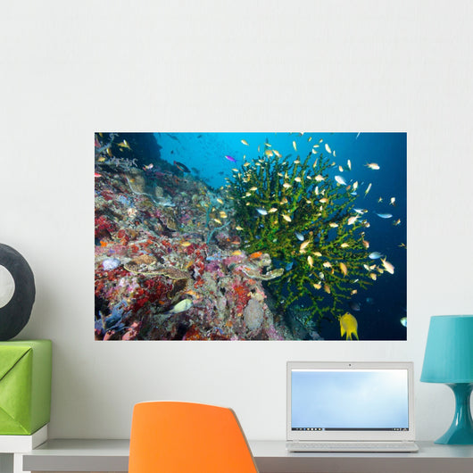 Black Sun Coral Napantao Wall Decal Design 1