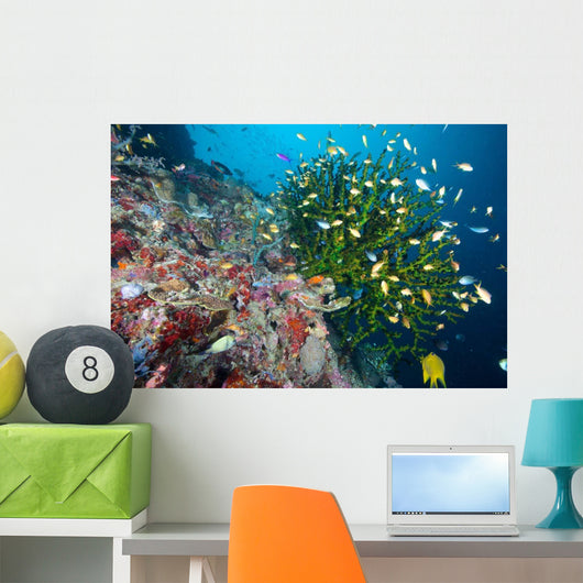 Black Sun Coral Napantao Wall Decal Design 1