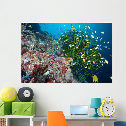 Black Sun Coral Napantao Wall Decal Design 1