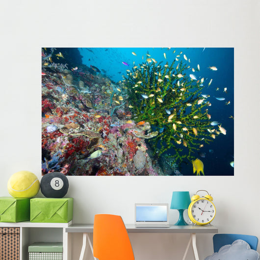 Black Sun Coral Napantao Wall Decal Design 1
