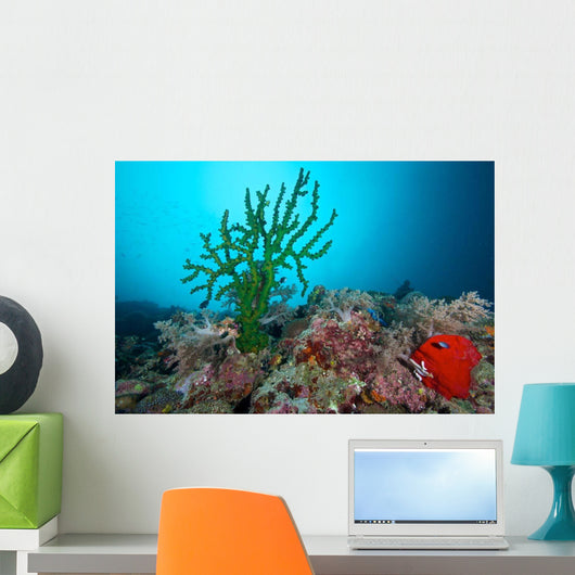 Black Sun Coral Limasawa Wall Decal Design 2