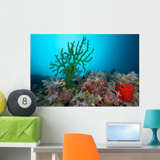 Black Sun Coral Limasawa Wall Decal Design 2