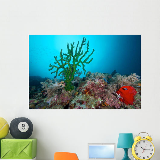 Black Sun Coral Limasawa Wall Decal Design 2