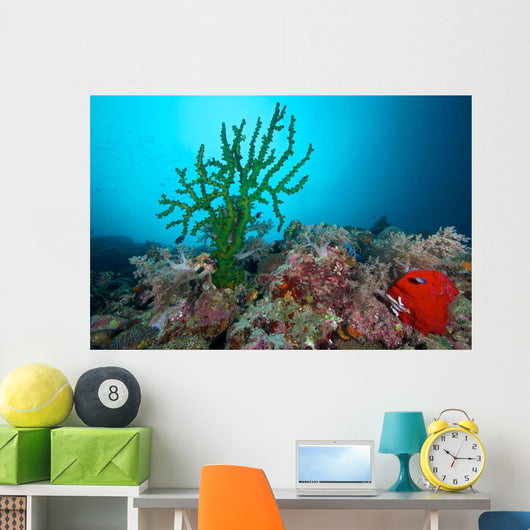 Black Sun Coral Limasawa Wall Decal Design 2