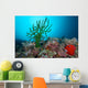 Black Sun Coral Limasawa Wall Decal Design 2