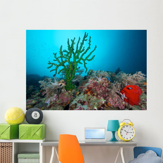Black Sun Coral Limasawa Wall Decal Design 2