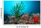 Black Sun Coral Limasawa Wall Decal Design 2