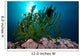 Black Sun Coral Limasawa Wall Decal Design 1