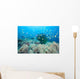 Coral Gardens and Reef Wall Decal