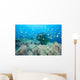 Coral Gardens and Reef Wall Decal