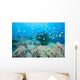 Coral Gardens and Reef Wall Decal