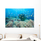 Coral Gardens and Reef Wall Decal
