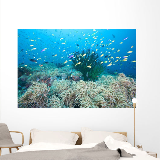 Coral Gardens and Reef Wall Decal
