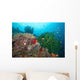 Black Sun Coral and Wall Decal Design 1