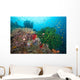Black Sun Coral and Wall Decal Design 1