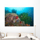 Black Sun Coral and Wall Decal Design 1