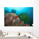 Black Sun Coral and Wall Decal Design 1