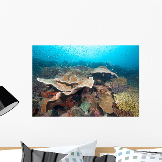 Hard Coral Formations and Wall Decal Design 2