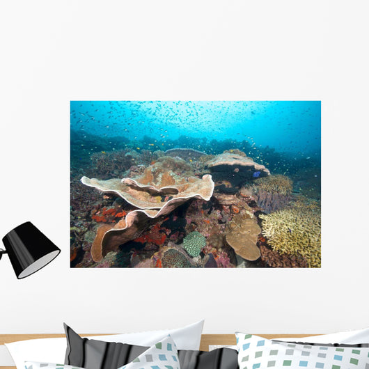 Hard Coral Formations and Wall Decal Design 2