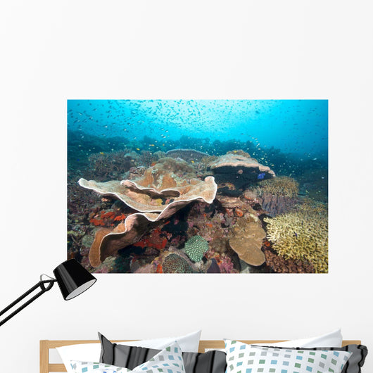 Hard Coral Formations and Wall Decal Design 2