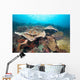 Hard Coral Formations and Wall Decal Design 2