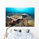 Hard Coral Formations and Wall Decal Design 2