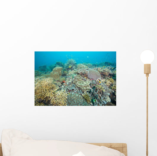 Hard Coral Gardens Napantao Wall Decal
