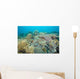 Hard Coral Gardens Napantao Wall Decal