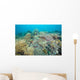 Hard Coral Gardens Napantao Wall Decal