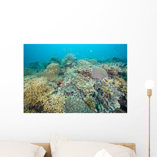 Hard Coral Gardens Napantao Wall Decal