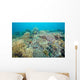 Hard Coral Gardens Napantao Wall Decal