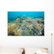 Hard Coral Gardens Napantao Wall Decal