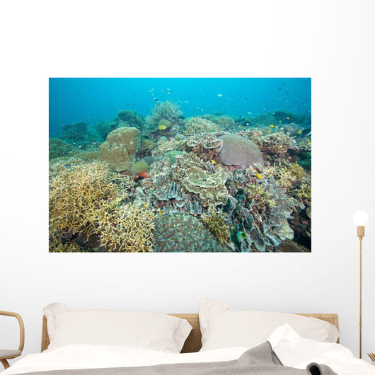 Hard Coral Gardens Napantao Wall Decal