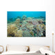 Hard Coral Gardens Napantao Wall Decal