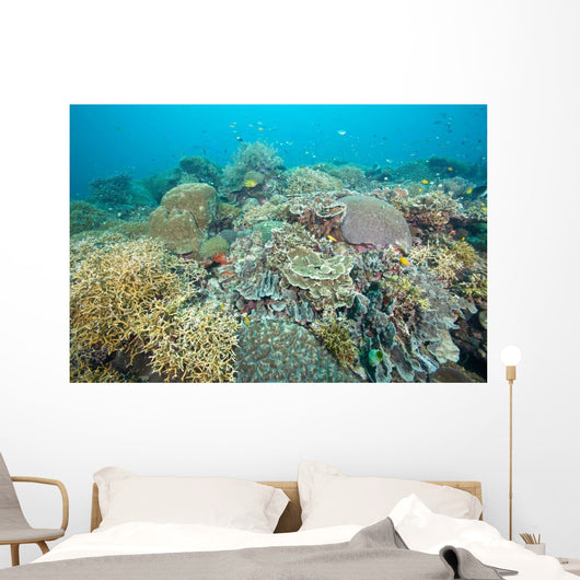 Hard Coral Gardens Napantao Wall Decal