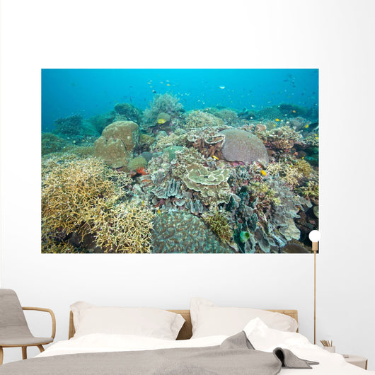 Hard Coral Gardens Napantao Wall Decal