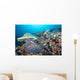 Hard Coral Formations and Wall Decal Design 1