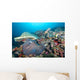 Hard Coral Formations and Wall Decal Design 1